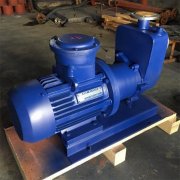 不銹鋼自吸式磁力泵如何避免操作時出錯